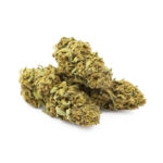 Zelato Ice Cannabis (Hybrid)